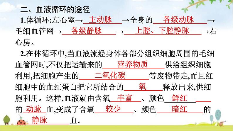 人教版初中生物七年级下册第4章人体内物质的运输第3节输送血液的泵——心脏练习课件第6页