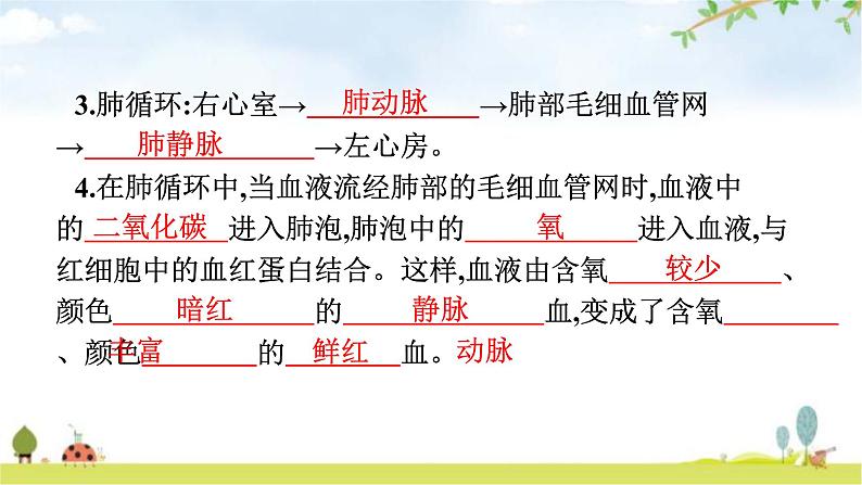 人教版初中生物七年级下册第4章人体内物质的运输第3节输送血液的泵——心脏练习课件第7页