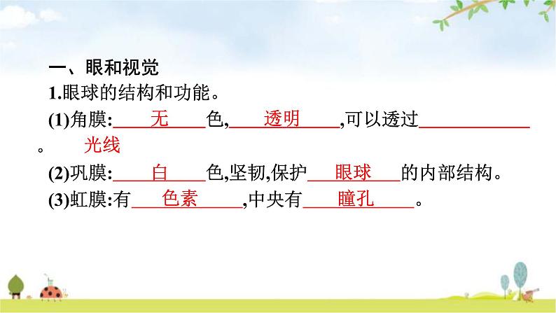人教版初中生物七年级下册第6章人体生命活动的调节第1节人体对外界环境的感知练习课件第4页