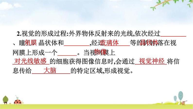 人教版初中生物七年级下册第6章人体生命活动的调节第1节人体对外界环境的感知练习课件第6页
