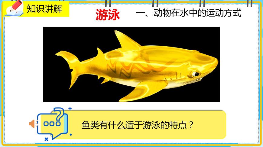 15.1《動(dòng)物運(yùn)動(dòng)的方式》課件第6頁(yè)