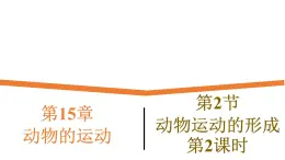 15.2.2《動(dòng)物運(yùn)動(dòng)的形成》課件