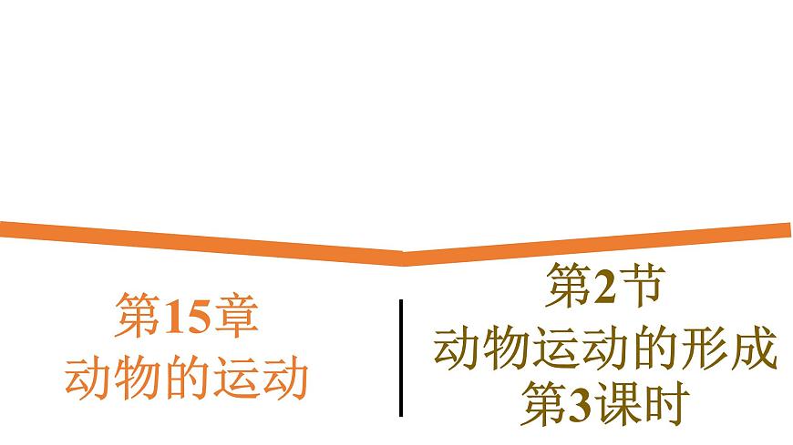 15.2.3《動(dòng)物運(yùn)動(dòng)的形成》課件第1頁