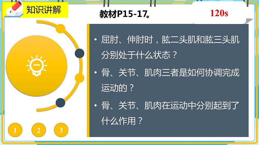 15.2.3《動(dòng)物運(yùn)動(dòng)的形成》課件第3頁