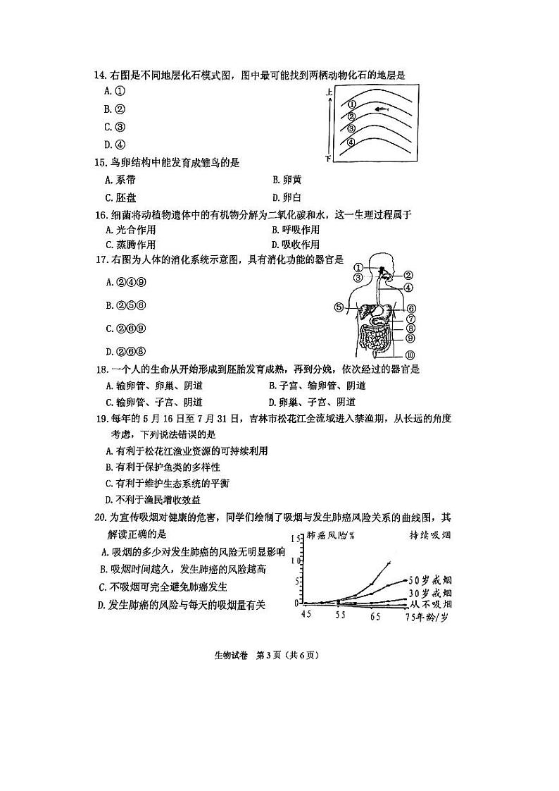 2023年吉林省吉林市二模生物试题第3页