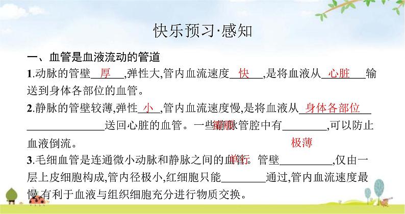 北师版初中生物七年级下册第9章人体内的物质运输第2节第1课时血管和心脏练习课件03