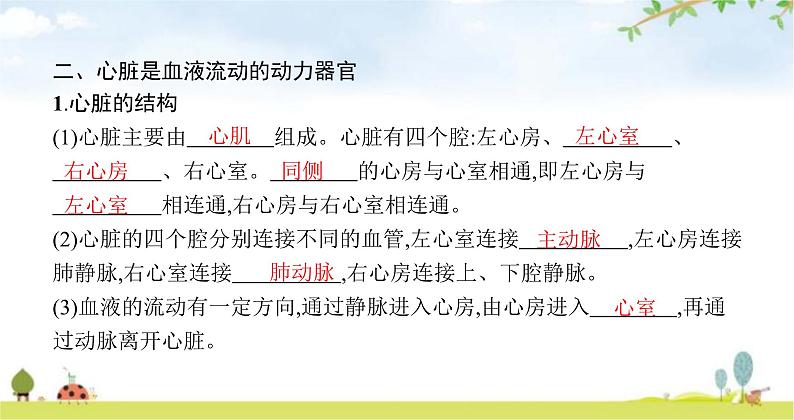 北师版初中生物七年级下册第9章人体内的物质运输第2节第1课时血管和心脏练习课件05