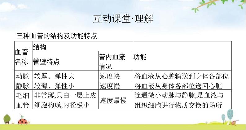 北师版初中生物七年级下册第9章人体内的物质运输第2节第1课时血管和心脏练习课件08