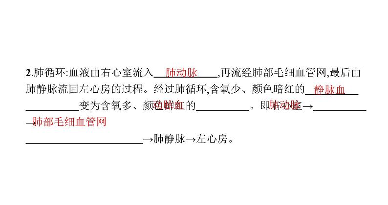 北师版初中生物七年级下册第9章人体内的物质运输第2节第2课时血液在心脏血管系统中循环流动、血压和脉搏练习课件04