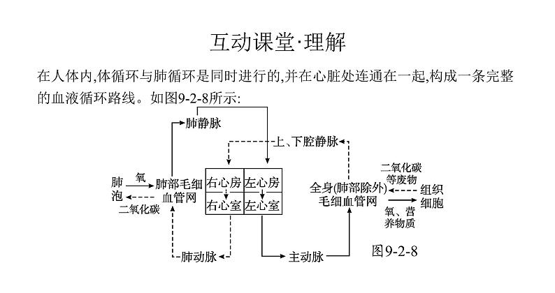 北师版初中生物七年级下册第9章人体内的物质运输第2节第2课时血液在心脏血管系统中循环流动、血压和脉搏练习课件07