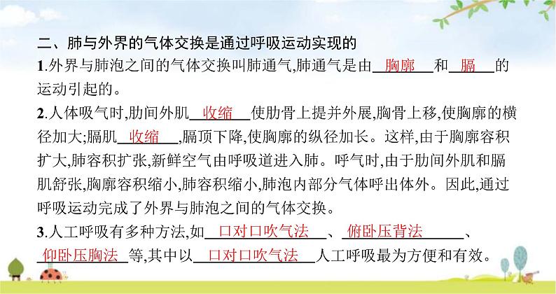 北师版初中生物七年级下册第10章人体的能量供应第2节人体细胞获得氧气的过程练习课件第5页