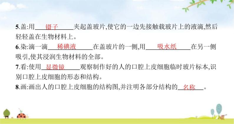 苏教版初中生物七年级上册第2单元第三章第二节人和动物细胞的结构与功能练习课件04