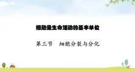 苏教版初中生物七年级上册第2单元第三章第三节细胞分裂与分化练习课件