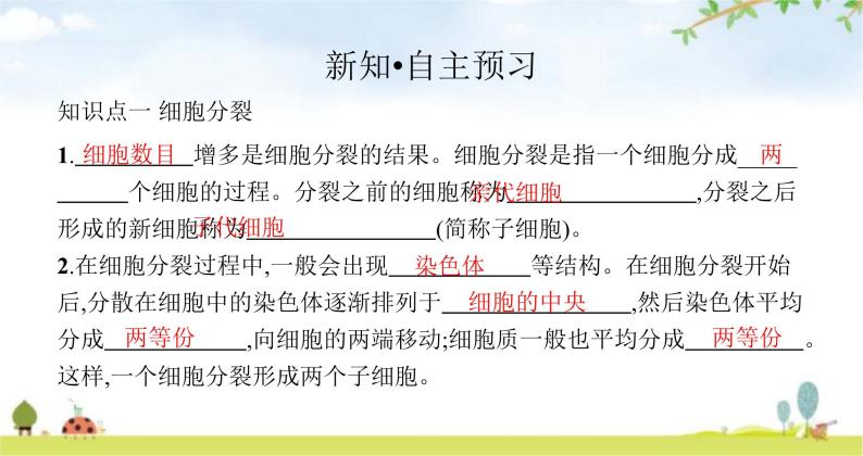 苏教版初中生物七年级上册第2单元第三章第三节细胞分裂与分化练习课件03