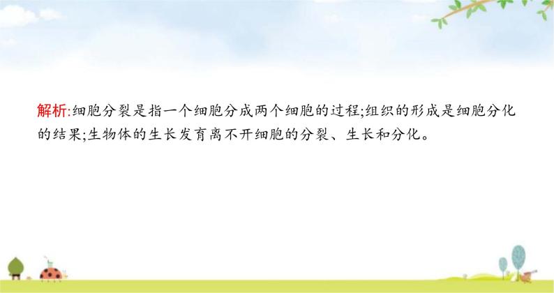 苏教版初中生物七年级上册第2单元第三章第三节细胞分裂与分化练习课件08