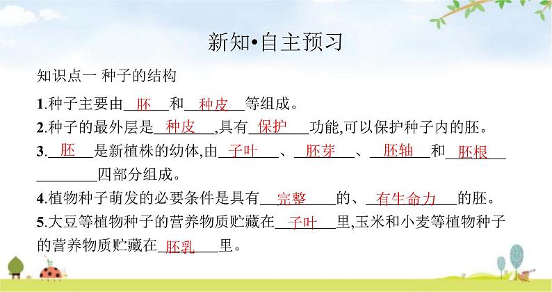 苏教版初中生物七年级上册第3单元五章第一节植物种子的萌发练习课件03