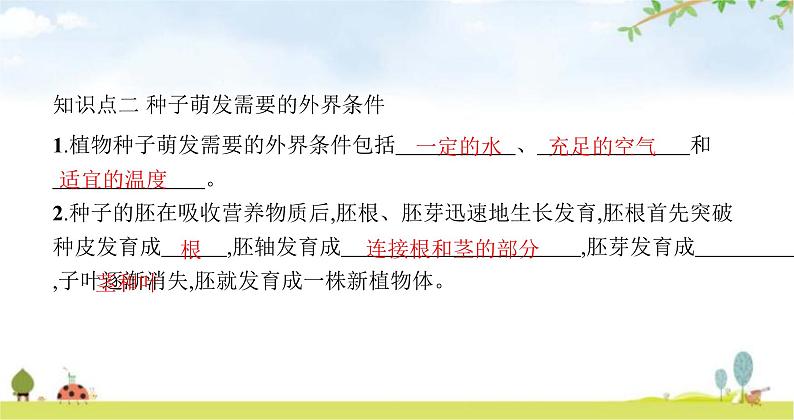 苏教版初中生物七年级上册第3单元五章第一节植物种子的萌发练习课件04