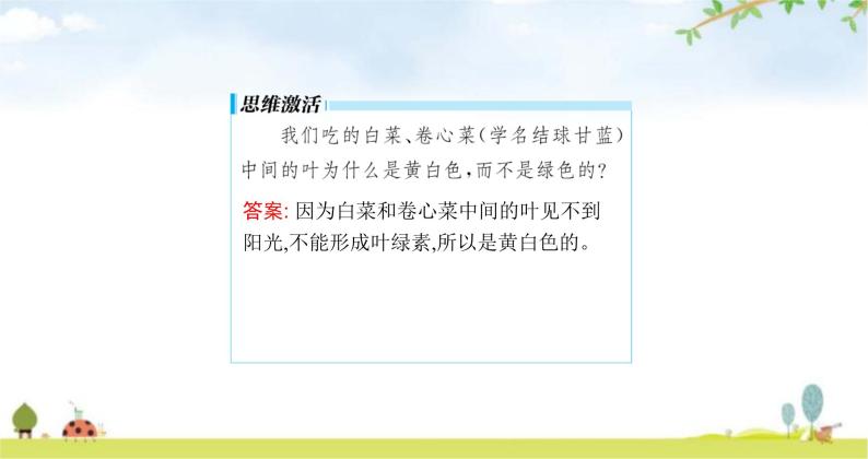 苏教版初中生物七年级上册第3单元第六章第二节植物光合作用的场所练习课件08