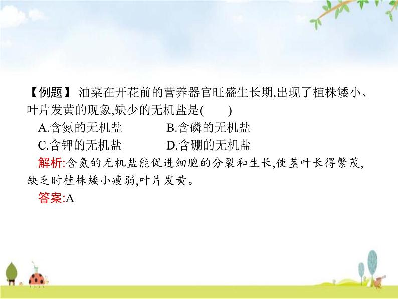 人教版初中生物七年级上册第3单元生物圈中的绿色植物第2章第2节植株的生长练习课件06