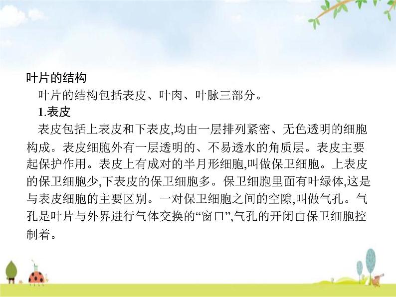 人教版初中生物七年级上册第3单元生物圈中的绿色植物第3章绿色植物与生物圈的水循环练习课件04