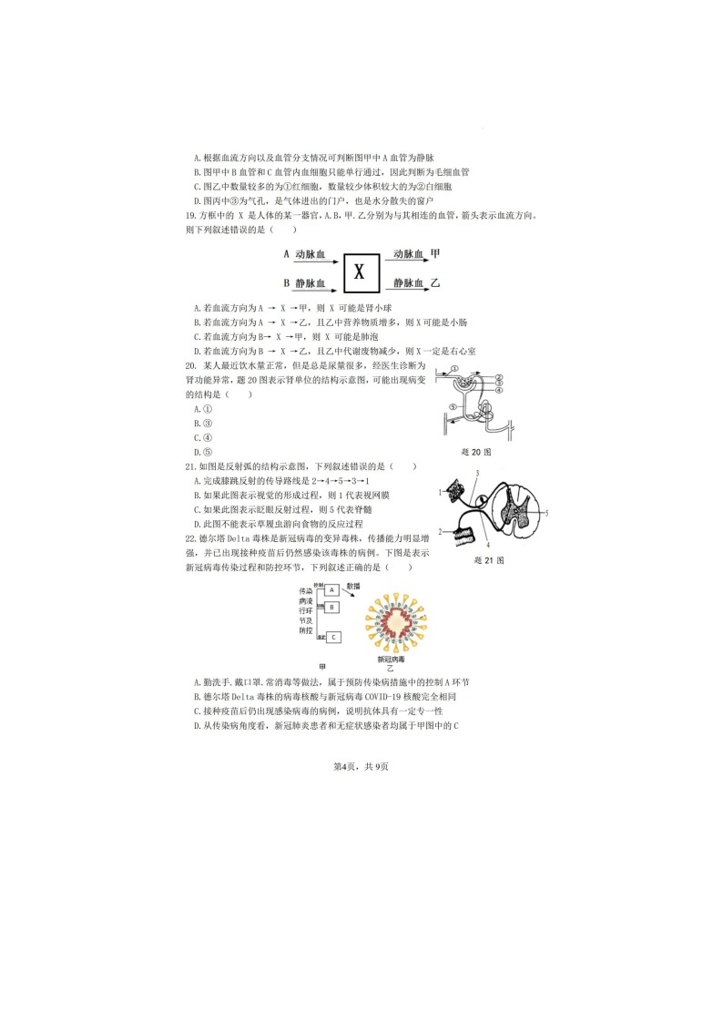 2022---2023年广州市初中生学业水平考试生物模拟题03