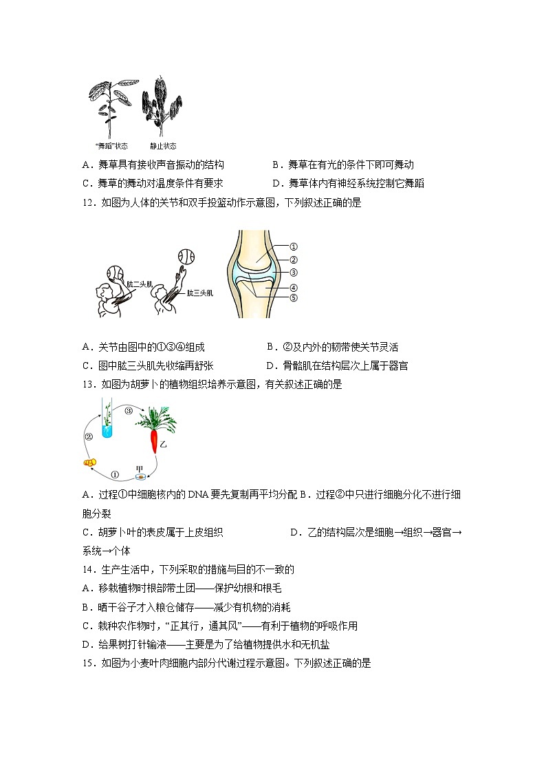 2023年中考押题预测卷02(福建卷)-生物02