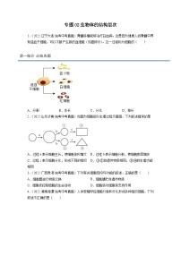 專題復(fù)習(xí)02 生物體的結(jié)構(gòu)層次-【提分必備】2023年中考生物復(fù)習(xí)必練真題+模擬題（全國通用）