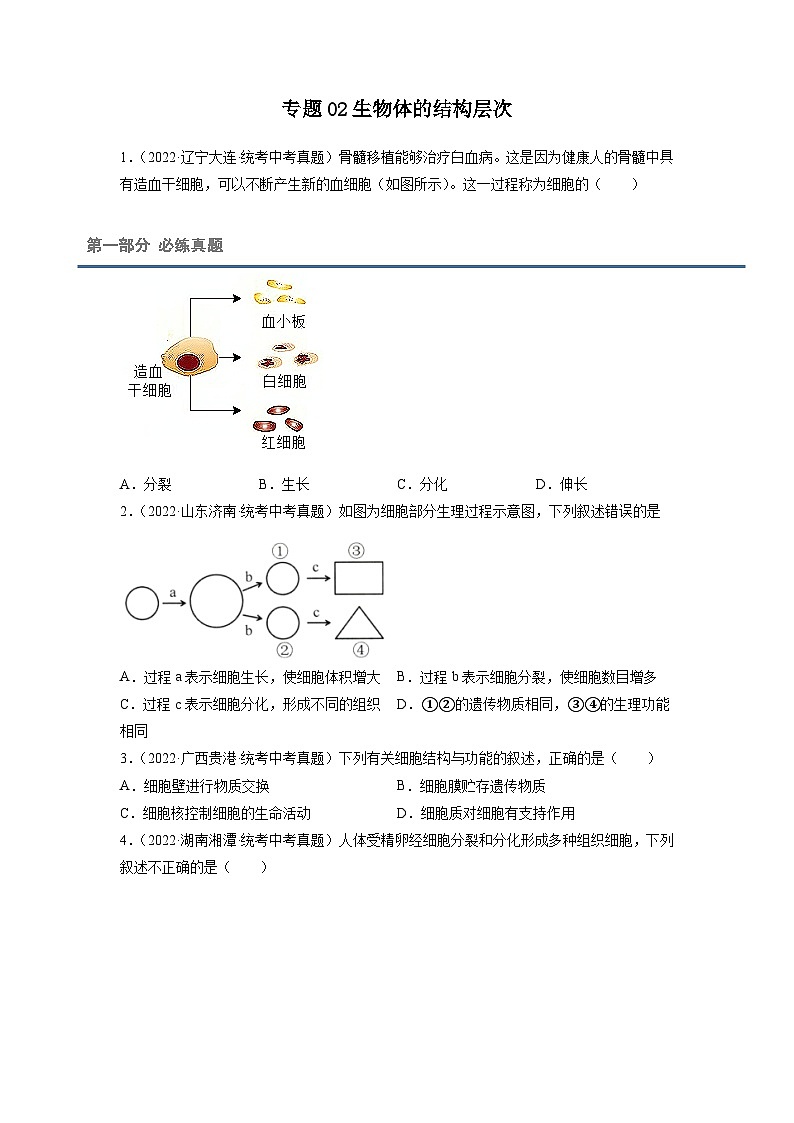 专题复习02 生物体的结构层次(原卷版)第1页