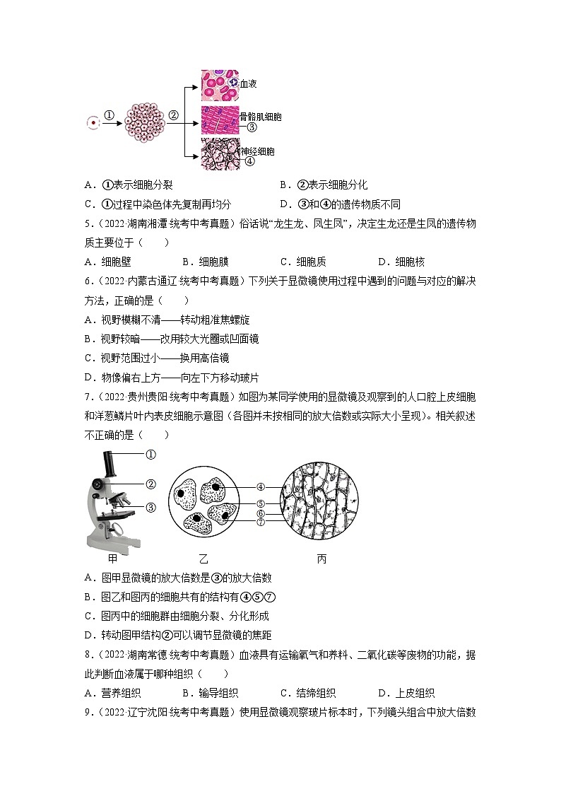 专题复习02 生物体的结构层次(原卷版)第2页