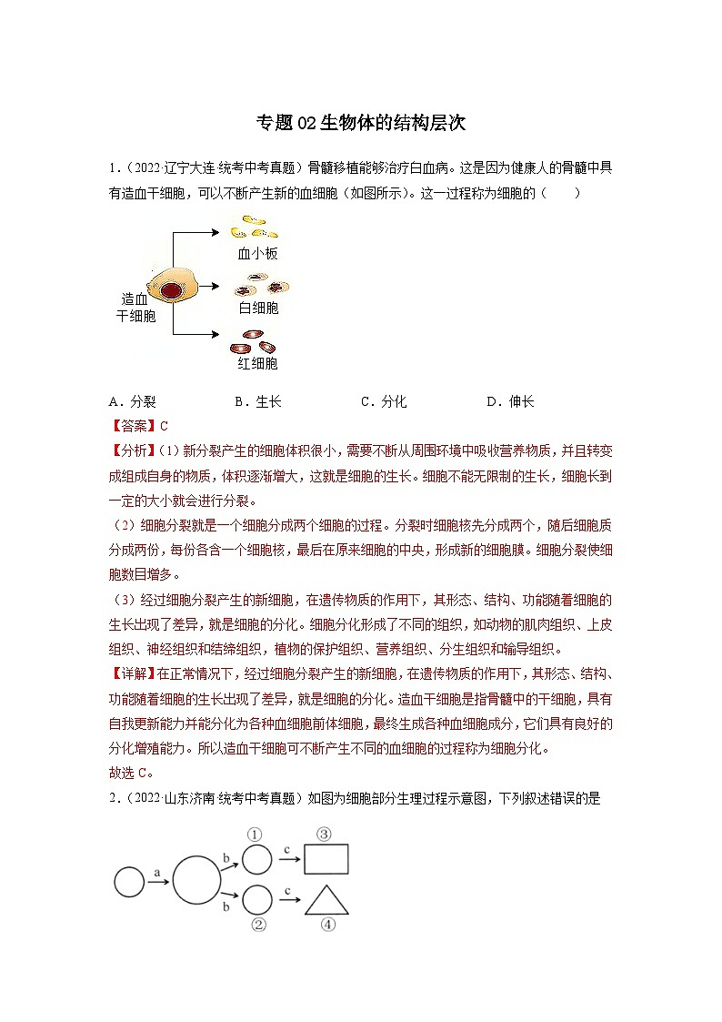 专题复习02 生物体的结构层次(解析版)第1页