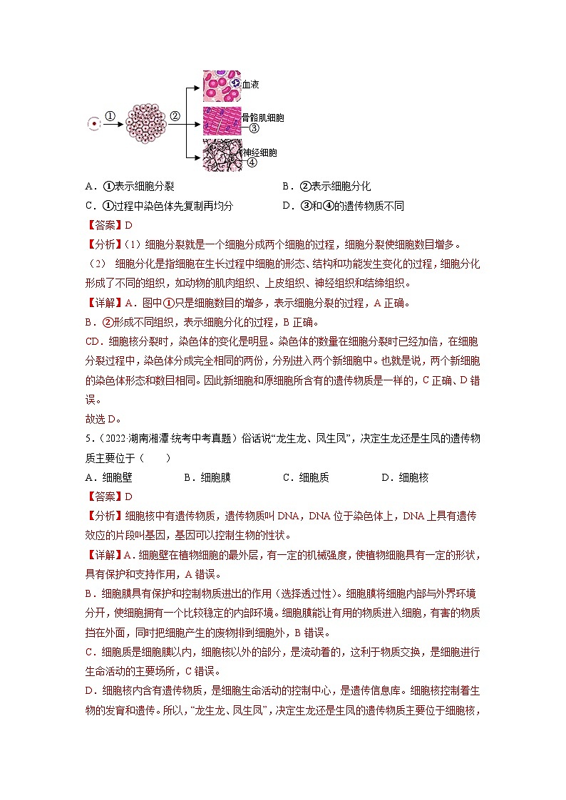 专题复习02 生物体的结构层次(解析版)第3页