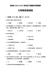 河南省灵宝市2022-2023学年七年级下学期期中学情调研生物试题