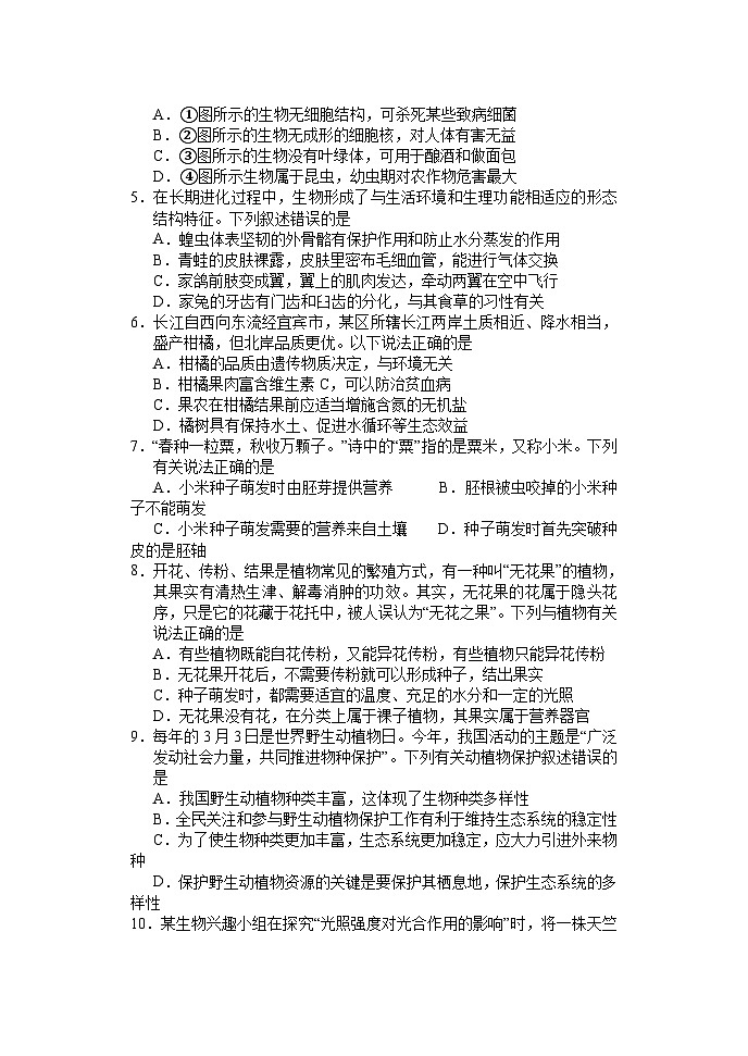 2023年四川省宜宾市南溪区模拟考试生物试题(二)02