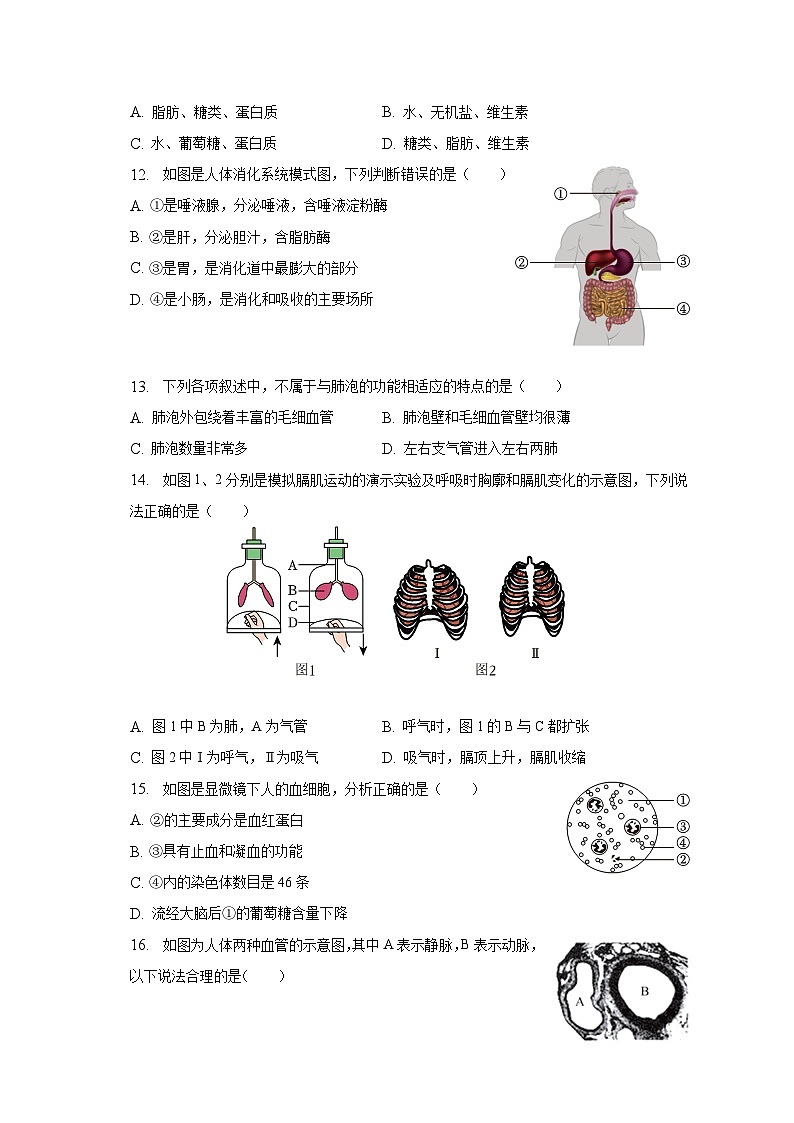 2023年广东省东莞市中考生物二模试卷(含解析)03