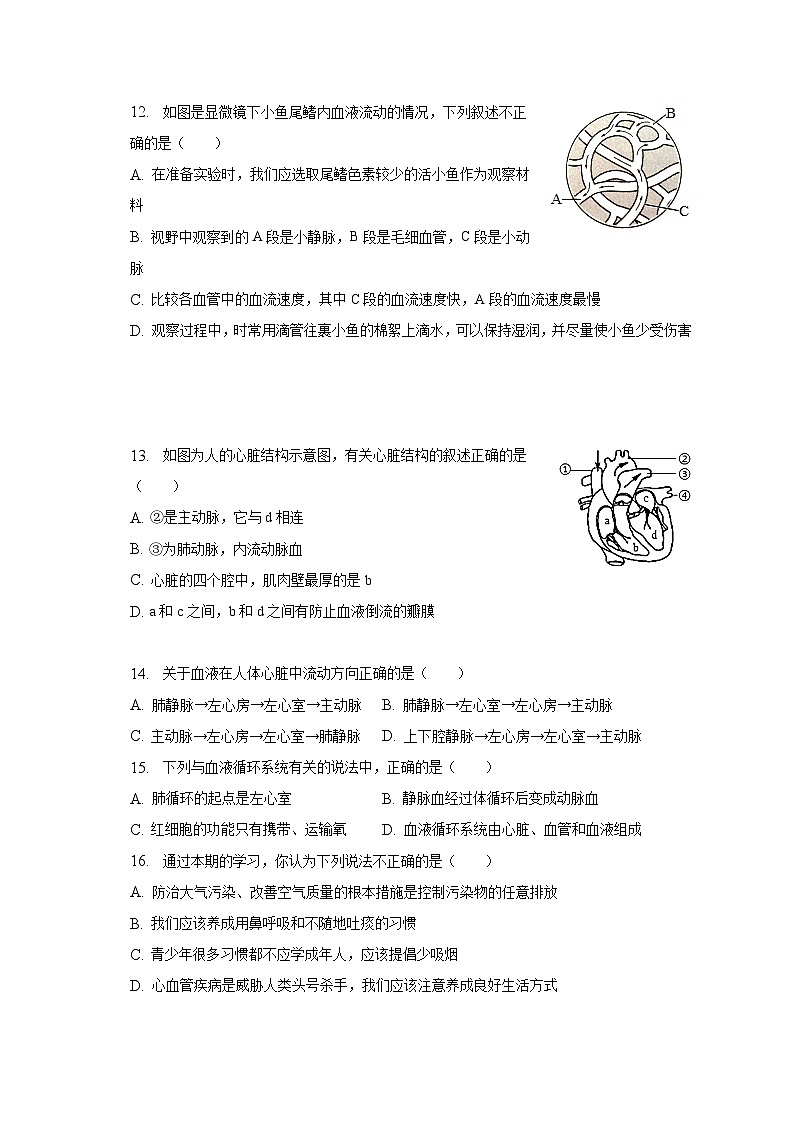 2022-2023学年河北省秦皇岛市青龙县金声木铎学校2校联考七年级(下)期中生物试卷(含解析)第3页