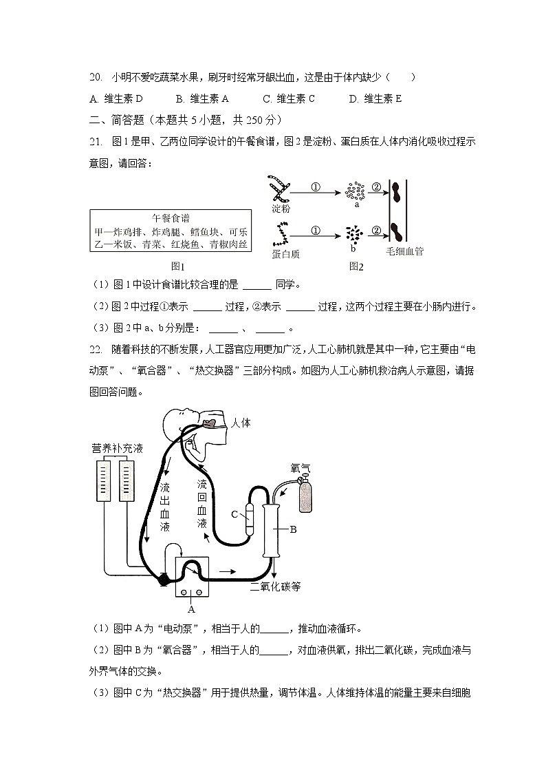 2022-2023学年河南省南阳市内乡县七年级(下)期中生物试卷(含解析)第3页