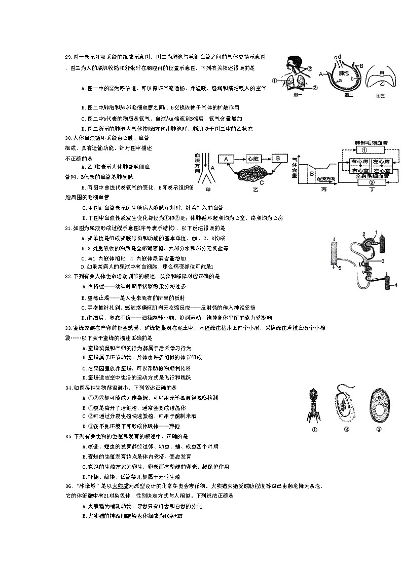 2023年湖北省十堰市郧西县模拟预测生物试题第3页
