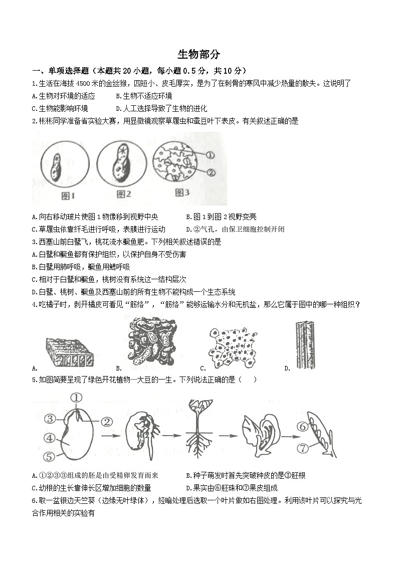 2023年江苏省盐城市阜宁县中考二模生物试题(含答案)01