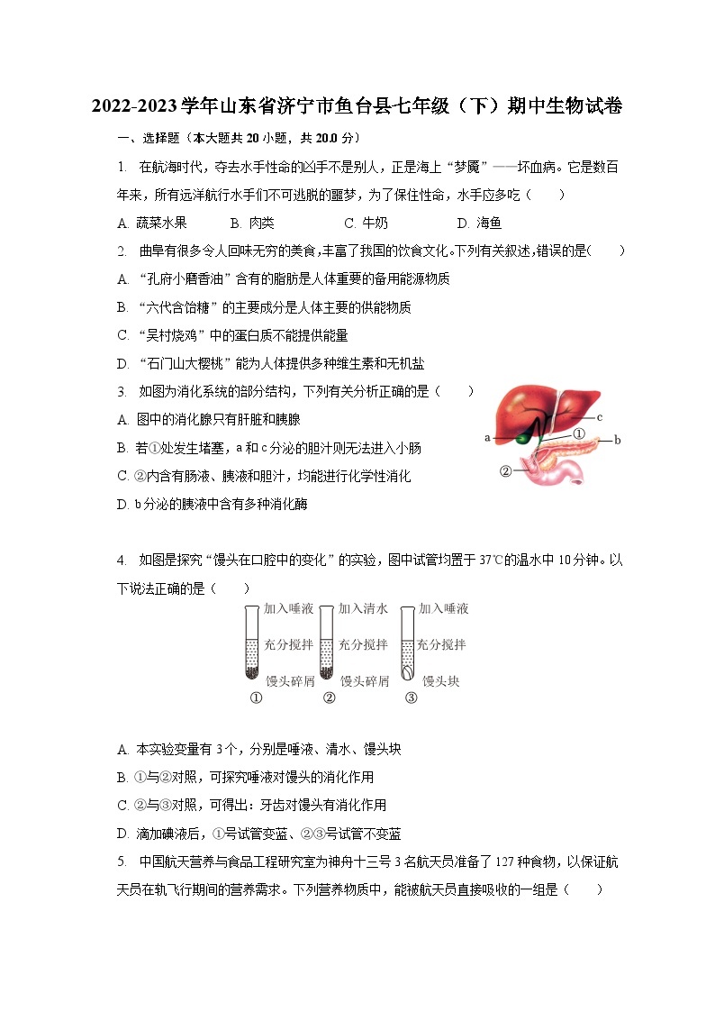 2022-2023学年山东省济宁市鱼台县七年级（下）期中生物试卷（含解析）01