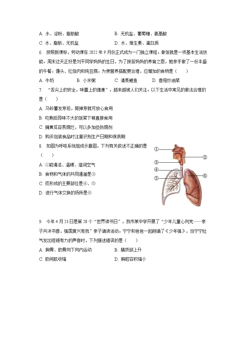 2022-2023学年山东省济宁市鱼台县七年级（下）期中生物试卷（含解析）02