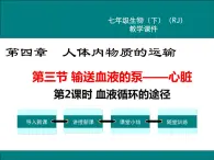 第四章人体内物质的运输第三节输送血液的泵——心脏第2课时血液循环的途径课件