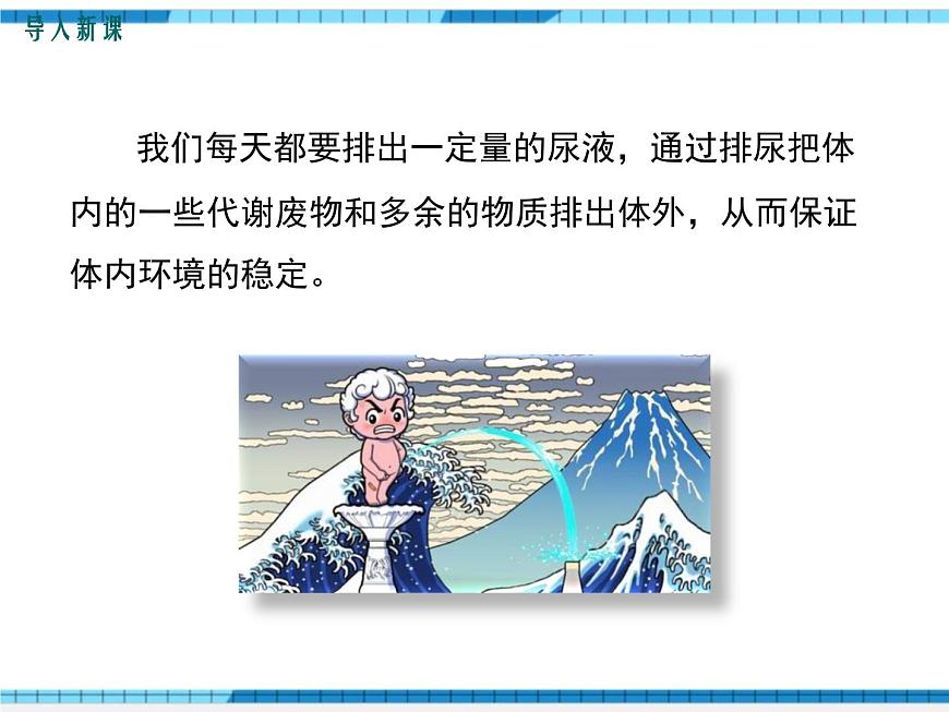 第五章人體內(nèi)廢物的排出課件第2頁