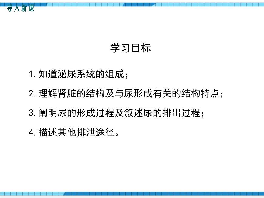 第五章人體內(nèi)廢物的排出課件第3頁