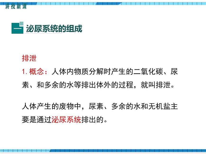 第五章人體內(nèi)廢物的排出課件第4頁