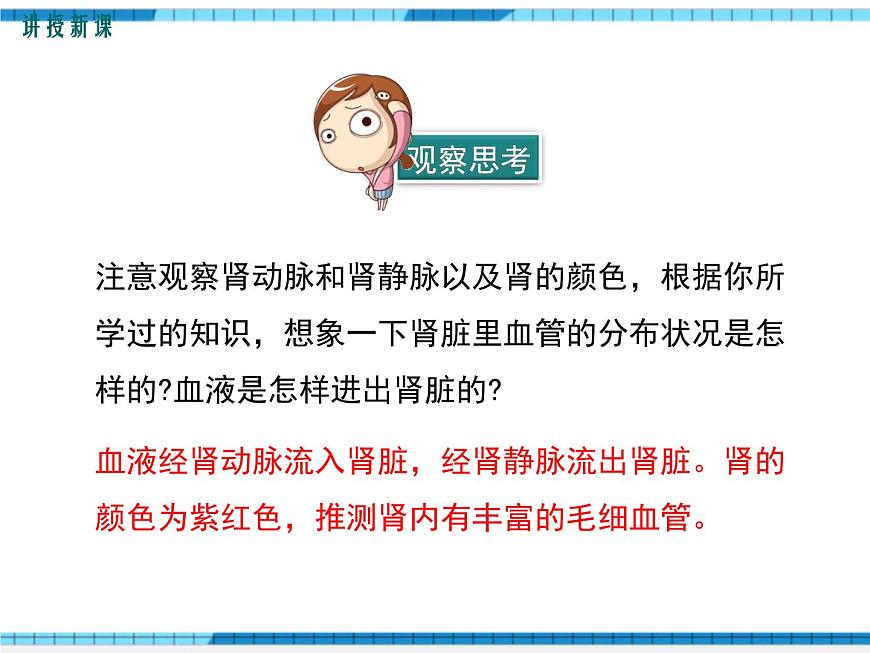 第五章人體內(nèi)廢物的排出課件第6頁