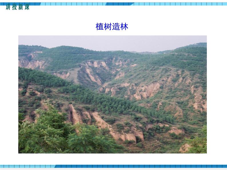 第七章人类活动对生物圈的影响第三节拟定保护生态环境的计划课件第7页