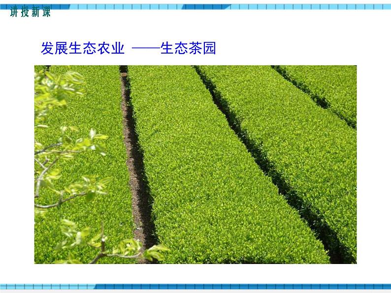 第七章人类活动对生物圈的影响第三节拟定保护生态环境的计划课件第8页