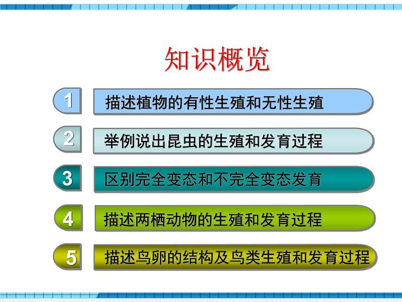 第一章生物的生殖和发育小结与复习课件第2页