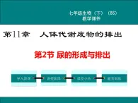 第11章人体代谢废物的排出第2节尿的形成与排出课件