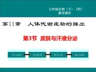 第11章人体代谢废物的排出第3节皮肤与汗液分泌课件